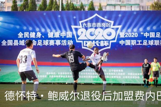 德怀特·鲍威尔退役后加盟费内巴切的职业生涯转折