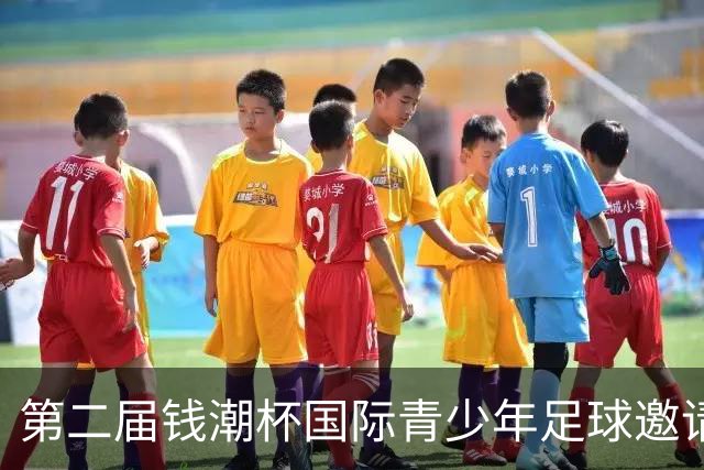 第二届钱潮杯国际青少年足球邀请赛抽签结果及赛事概况