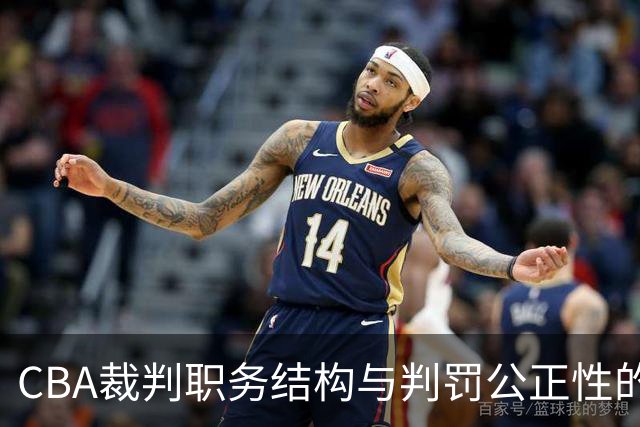 CBA裁判职务结构与判罚公正性的关系研究